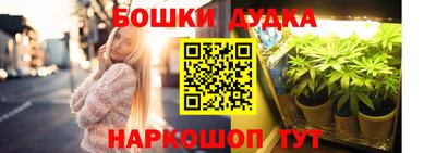 бошки Гай