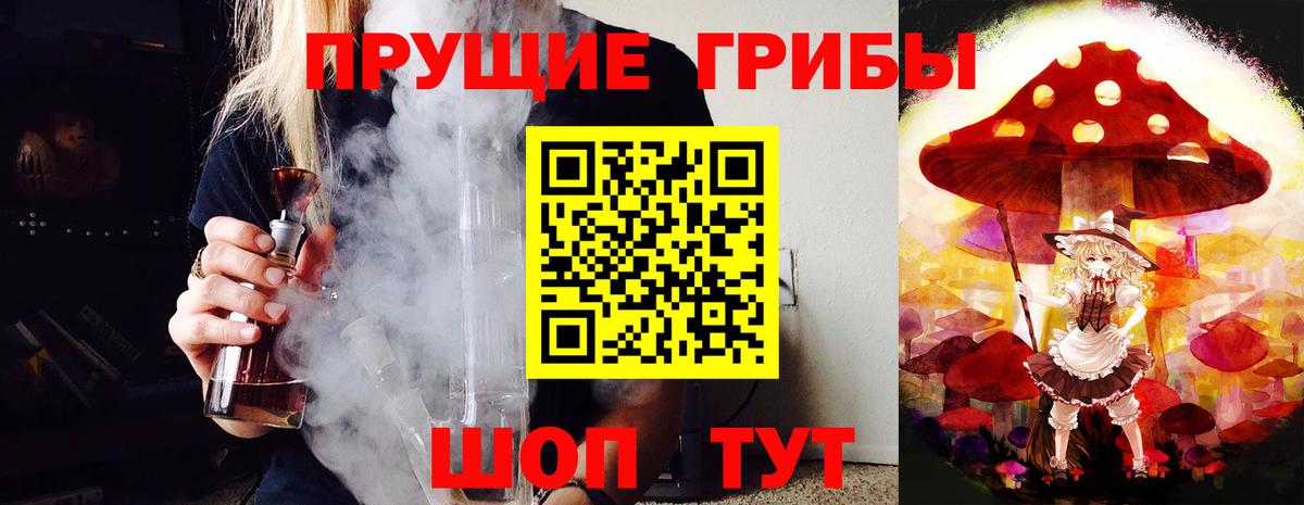 Псилоцибиновые грибы GOLDEN TEACHER  Вход с VPN  Надым  Псилоцибиновые грибы мицелий 